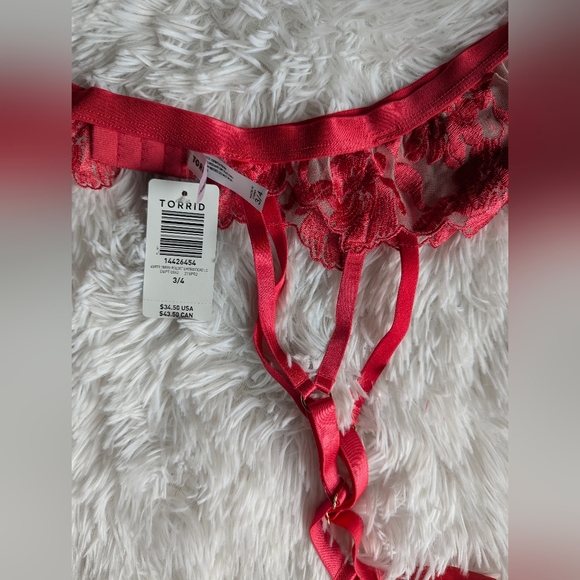 Sold Torrid Two Tone Floral Embroidered Mesh Garter size 3x/4x - Picture 6 of 6